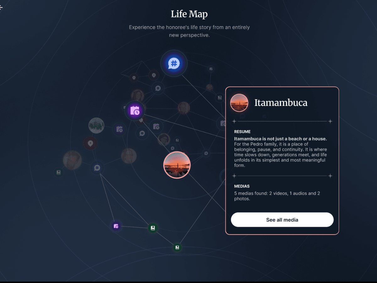 Life Map view 4