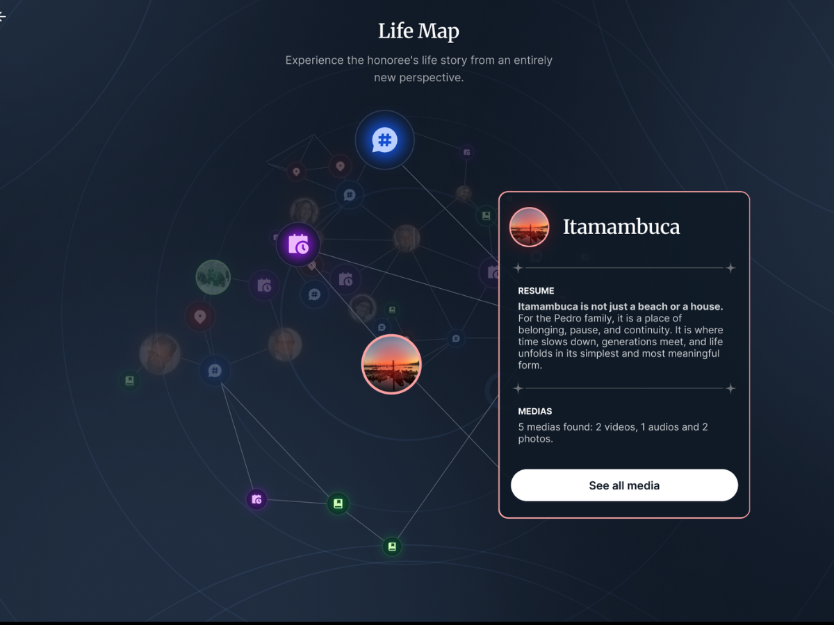 Life Map view 4